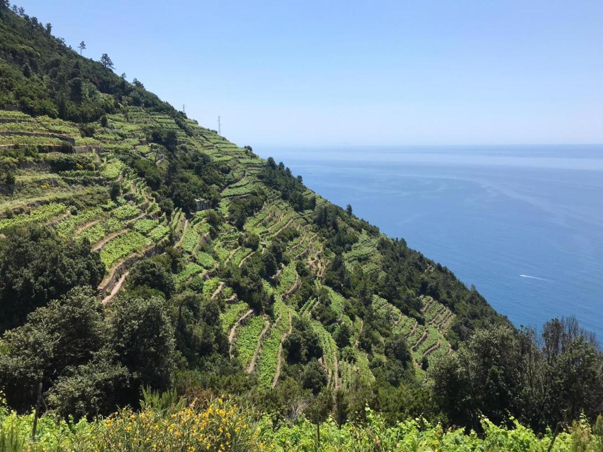 Sergiohome La Spezia Kültér fotó